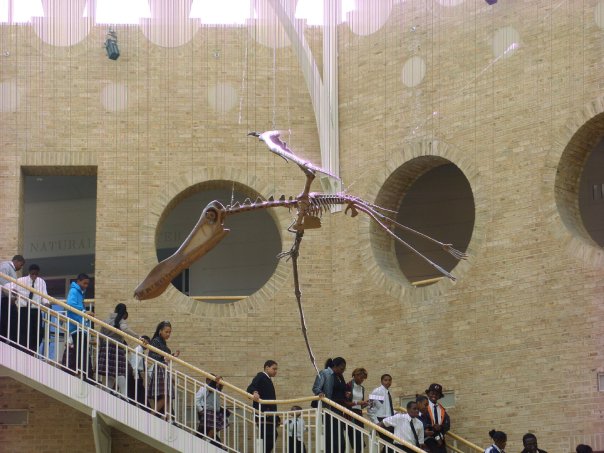 22055_528581018001_7279417_n